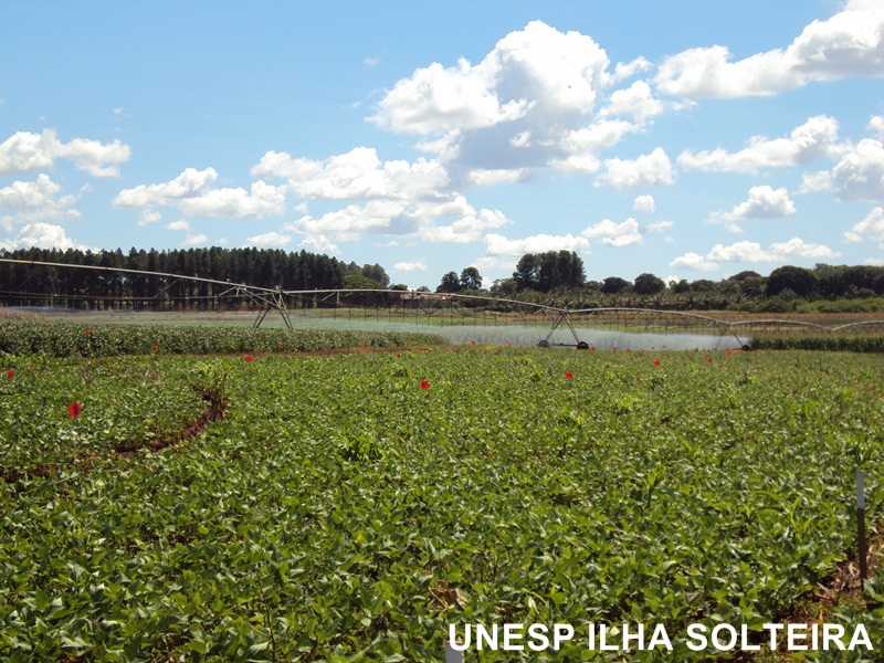 aula_cerrado_12marc2012 (17).JPG